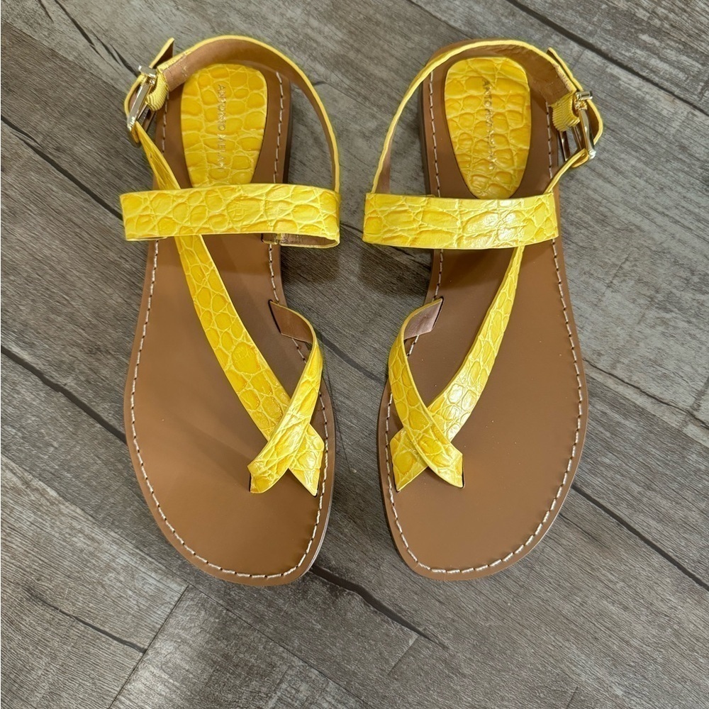 NWOT Yellow Antonio‎ Melani Women's Sandal